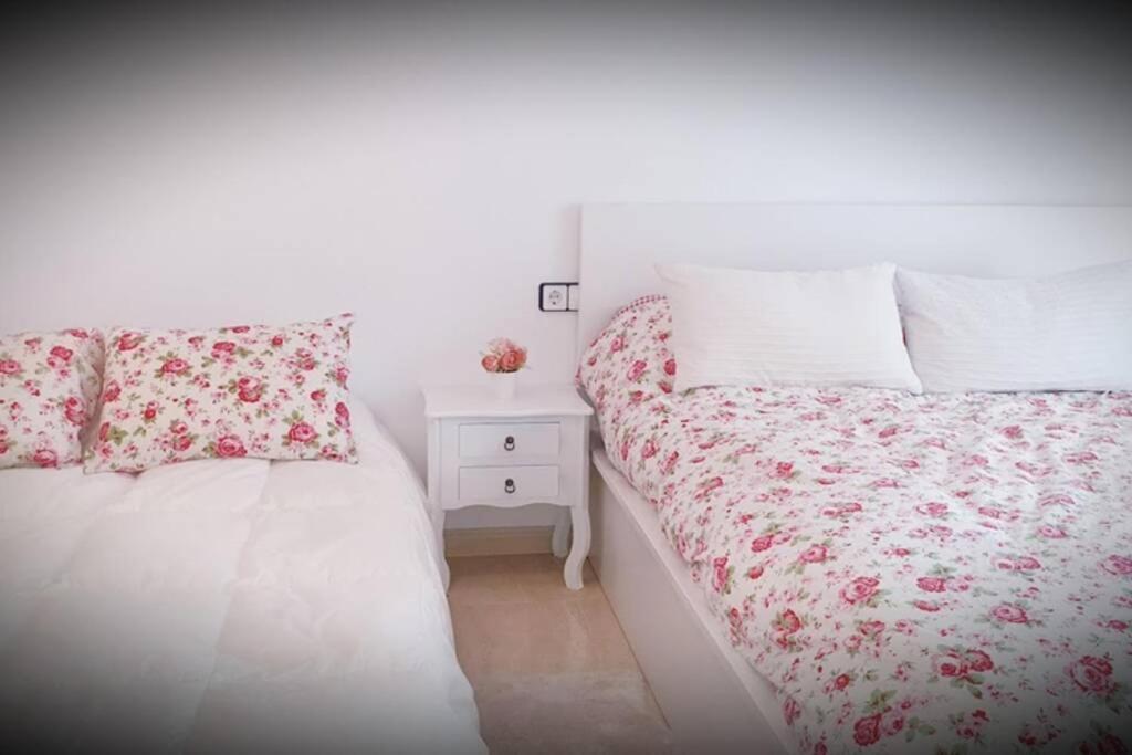 Apartamento Pepa. En El Corazon Del Delta. Sant Jaume d'Enveja Bagian luar foto